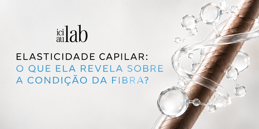Elasticidade capilar